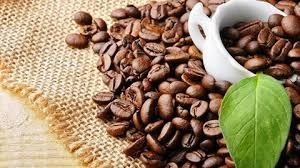Café: plus de 1,6 milliard de dollars d’exportation au 1er semestre