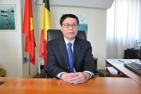 L’EVFTA ouvrira des opportunités d’affaires à la Belgique et au Vietnam
