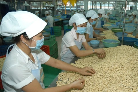 L’EVFTA promet de doper les exportations de noix de cajou