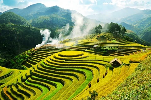 Yen Bai accueillera le festival des champs en terrasses de Mu Cang Chai