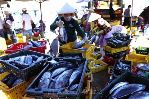 Un atelier cherche des solutions de promouvoir les exportations de thon vers l'UE