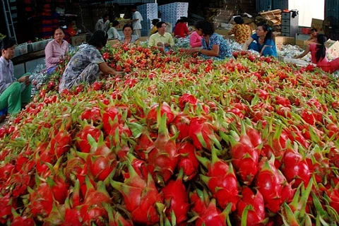 Vietnam-Chine: plus de 9,8 milliards de dollars d’import-export de produits agricoles