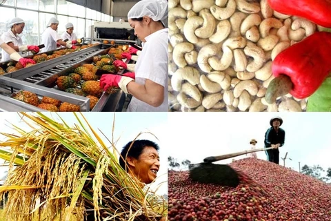 Agriculture : excédent commercial de plus de 7,9 milliards de dollars en dix mois