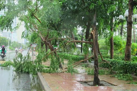 Le typhon Etau fait deux morts dans la région du Centre
