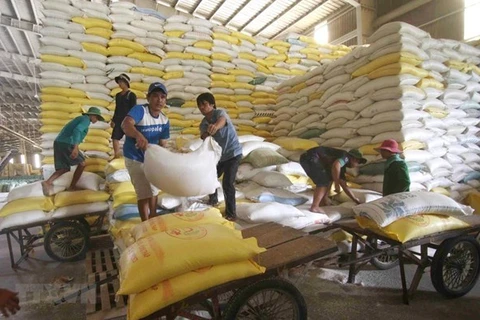 Le prix du riz vietnamien à l'exportation atteint son plus haut niveau en 9 ans