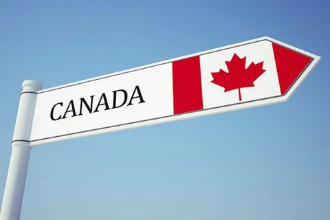 Bond des exportations vietnamiennes vers le Canada en 11 mois