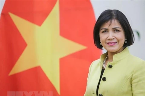 Le Vietnam soutient le rôle du Centre Sud dans la promotion de la coopération entre les pays en développement