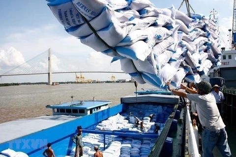 Le prix à l'exportation du riz vietnamien à un niveau élevé