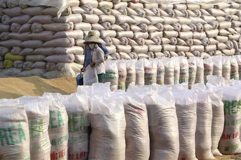 Le Vietnam demeurerait le 2e plus grand exportateur mondial de riz en 2021