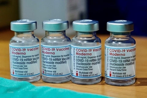  Le Vietnam appelle à promouvoir l'échange d'informations sur les vaccins anti-COVID-19