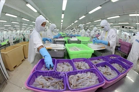 Le Vietnam devient le 4e fournisseur de crevettes surgelées en Russie