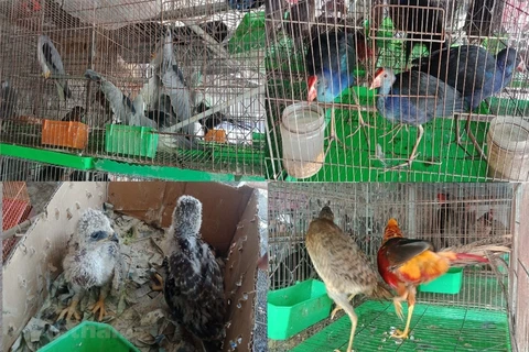 Les Vietnamiens veulent bannir les marchés d’animaux sauvages