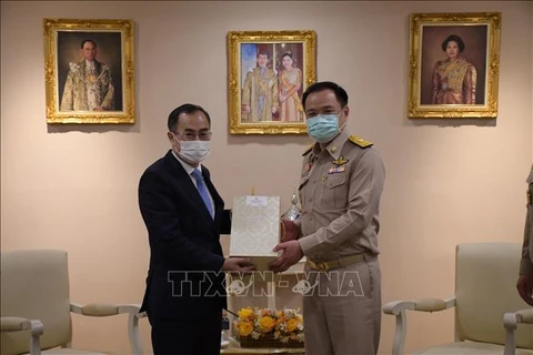 COVID-19 : Vietnam et Thaïlande renforcent leur coopération dans le domaine de la santé 