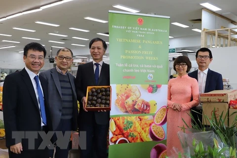 Le Vietnam exporte ses premiers fruits de la passion vers l’Australie