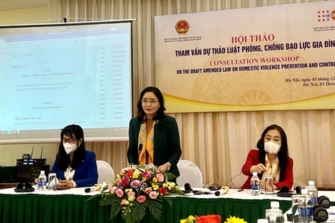 Le FNUAP soutient les efforts du Vietnam contre la violence domestique