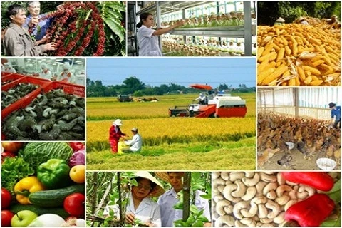 L’agriculture vietnamienne termine l’année en apothéose 