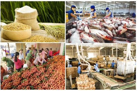 Exportation de produits agricoles: un record sans précédent