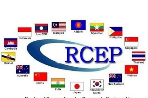Le RCEP, le plus grand accord de libre-échange au monde, entre en vigueur