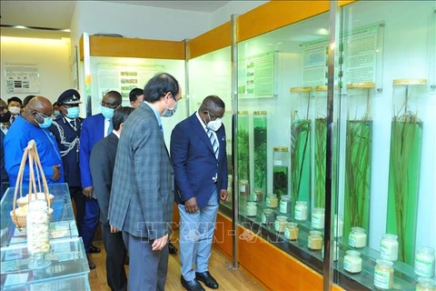 Le président de Sierra Leone en visite à l'Académie des sciences agricoles du Vietnam