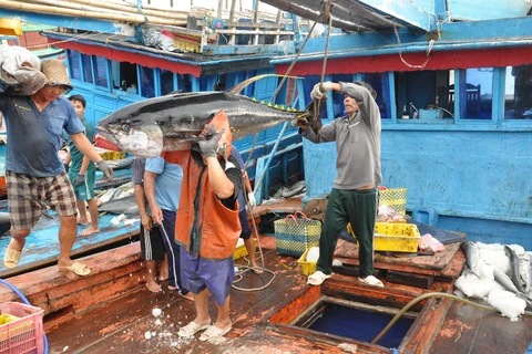 Les accords de libre-échange font frétiller les exportations vietnamiennes de thon