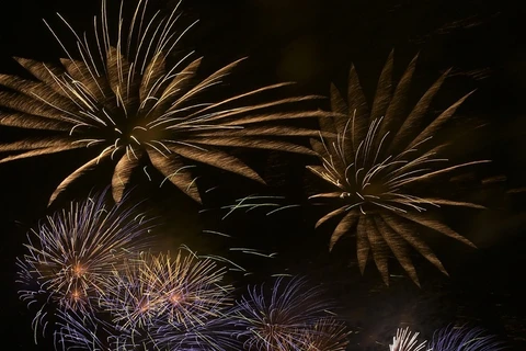 Feux d'artifice à l'occasion de la Fête des rois Hung à Phu Tho 