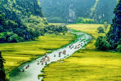 L’OMS loue le Vietnam pour son engagement dans la lutte contre le changement climatique