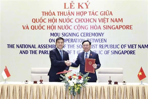 Poursuite de promouvoir les relations de coopération parlementaire Vietnam-Singapour