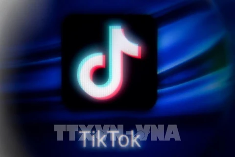 TikTok supprime plus de 2,4 millions de vidéos publiées par des utilisateurs vietnamiens