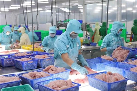 Les pangasius et les crevettes vietnamiens s’exportent bien en Chine
