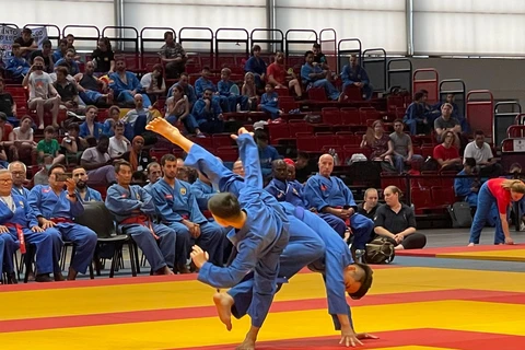 Une centaine de médaille remise à la 6e Coupe du Monde de Vovinam - Việt Võ Đạo en France