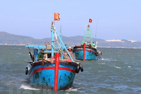 Binh Thuân veille à ses ressources halieutiques et lutte contre la pêche INN