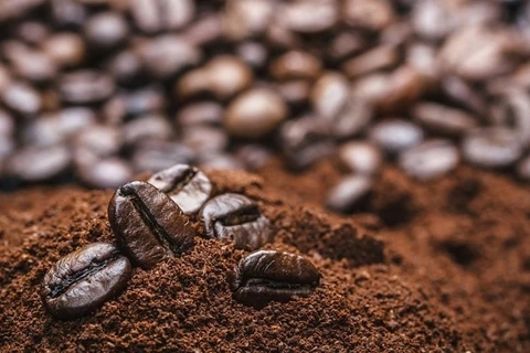 Plus de 3 milliards d’USD d'exportations de café en 9 mois