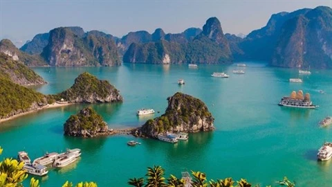 Le Forum interrégional du tourisme d’Asie de l’Est se réunira à Quang Ninh