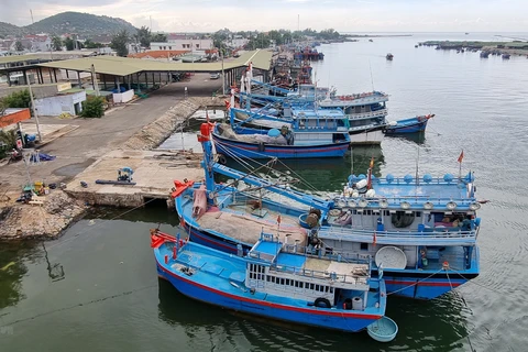Comment la province de Ninh Thuân s’attaque à la pêche INN