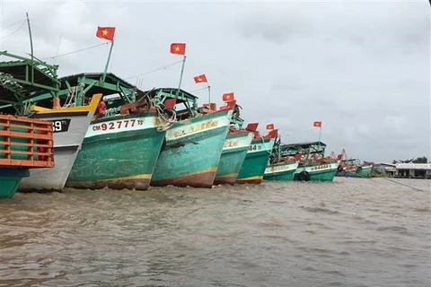  Cà Mau : tous les bateaux de pêche dotés d’équipements de surveillance de croisière