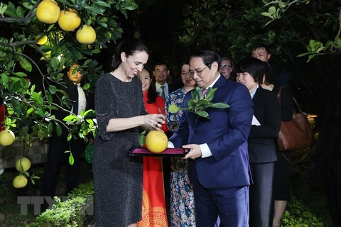 Le Vietnam exportera le citron vert et le pamplemousse en Nouvelle-Zélande