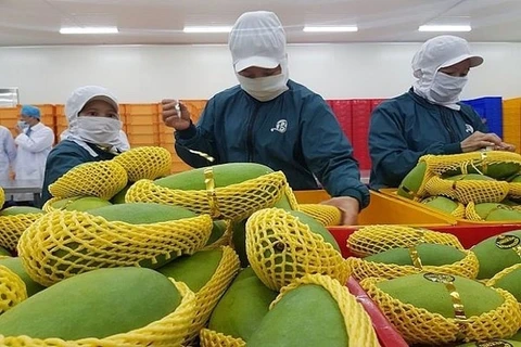 Forte hausse des exportations de fruits et légumes vers la Chine en octobre