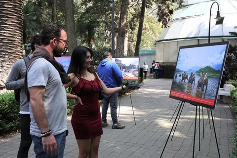 Foire de la culture vietnamienne au Mexique