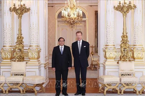 Le Premier ministre Pham Minh Chinh rencontre le Grand-Duc de Luxembourg Henri