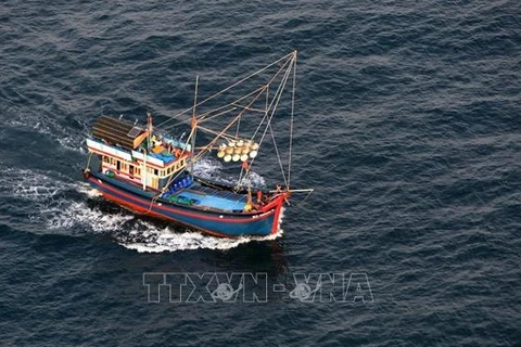 La lutte contre la pêche INN nécessite des efforts conjoints de toutes les localités côtières