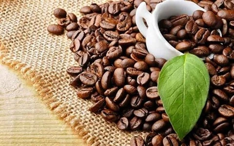 Le Vietnam établit un nouveau record d’exportations de café