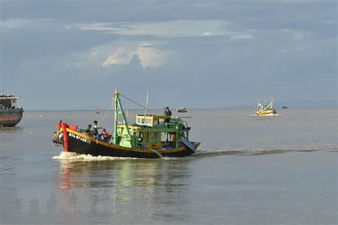 INN : la province de Binh Thuan déterminée à mettre fin à la pêche illégale 