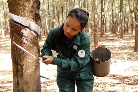 Un responsable de la province de Champassak apprécie les investisseurs vietnamiens