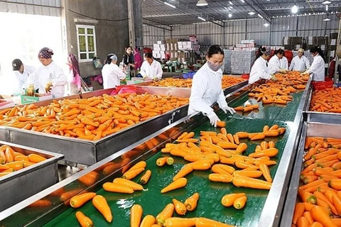 Les exportations des fruits et légumes transformés en forte croissance