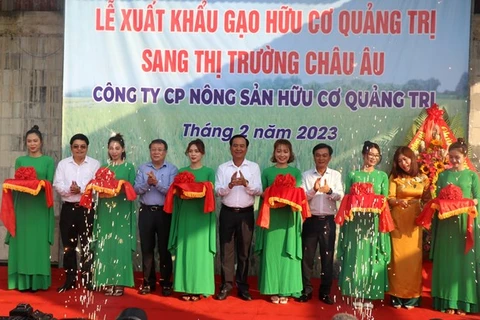 Quang Tri exporte le premier lot de riz bio vers l’Europe