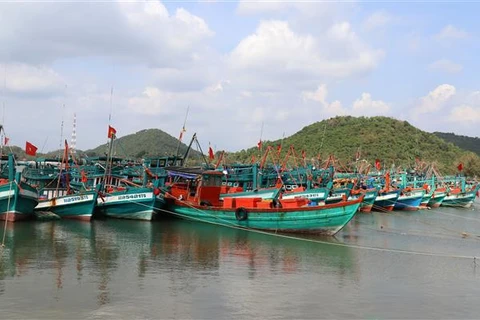 Le Vietnam publie un plan d’action pour lutter contre la pêche INN