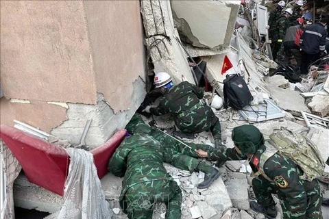 Tremblements de terre : informations sur le soutien et le sauvetage du Vietnam sur place