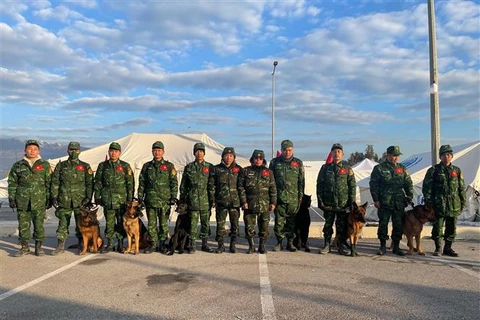 Les chiens renifleurs du Vietnam obtiennent des résultats positifs lors d'un sauvetage en Turquie