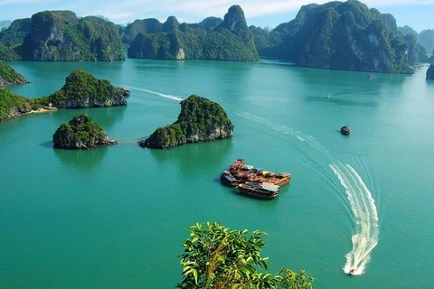 Les îles de Quang Ninh proposées de nouvelles destinations touristiques dans la baie de Bai Tu Long