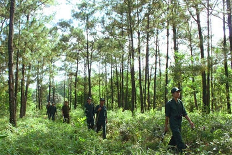 Les localités vietnamiennes et lao renforcent leur coopération dans la protection des forêts